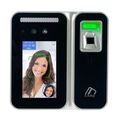 Timora Bio Lite 24F